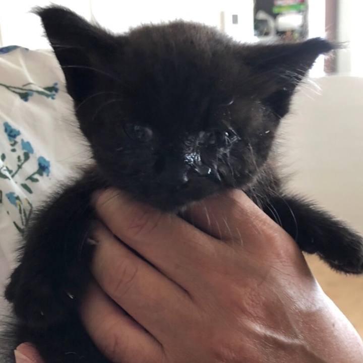 B5786b75 8b48 4417 9122 6c7d4a5480c6 1657101110864