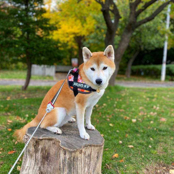 B5787e34 6bce 4f8b 918c 1b2b009a38e1 1602819564038