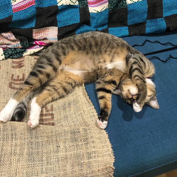 B578a744 d15b 4bdf a893 35905d015515 1569582133779