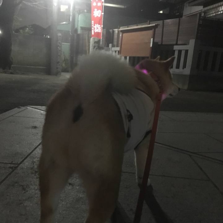 B578c8d6 7df7 4090 8a16 c5280aac284b 1545125638723