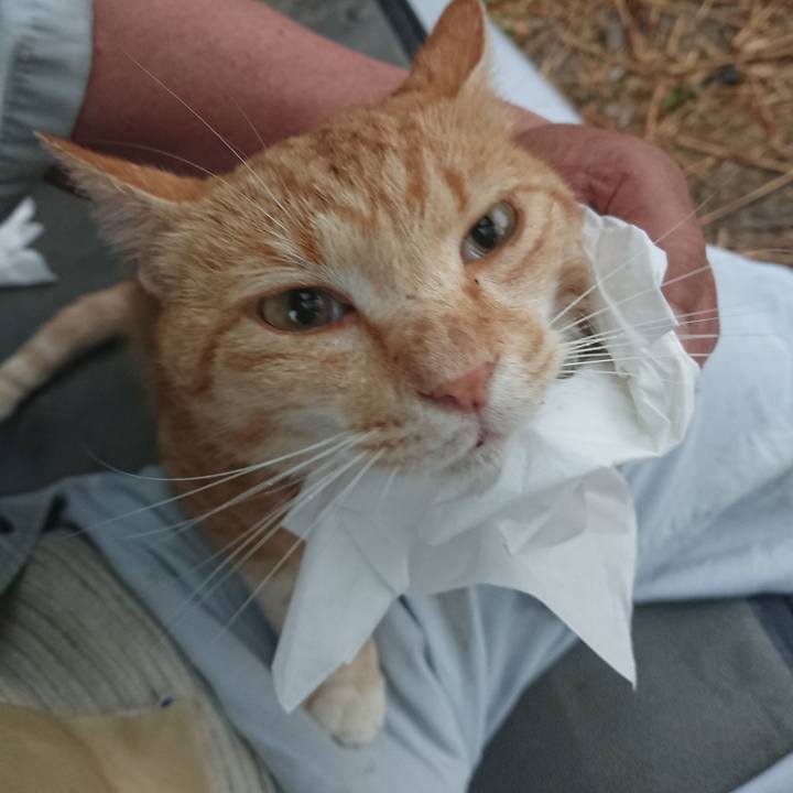 B5790b4d 36d5 40ae 9e25 7af85ac11dff 1593115901523