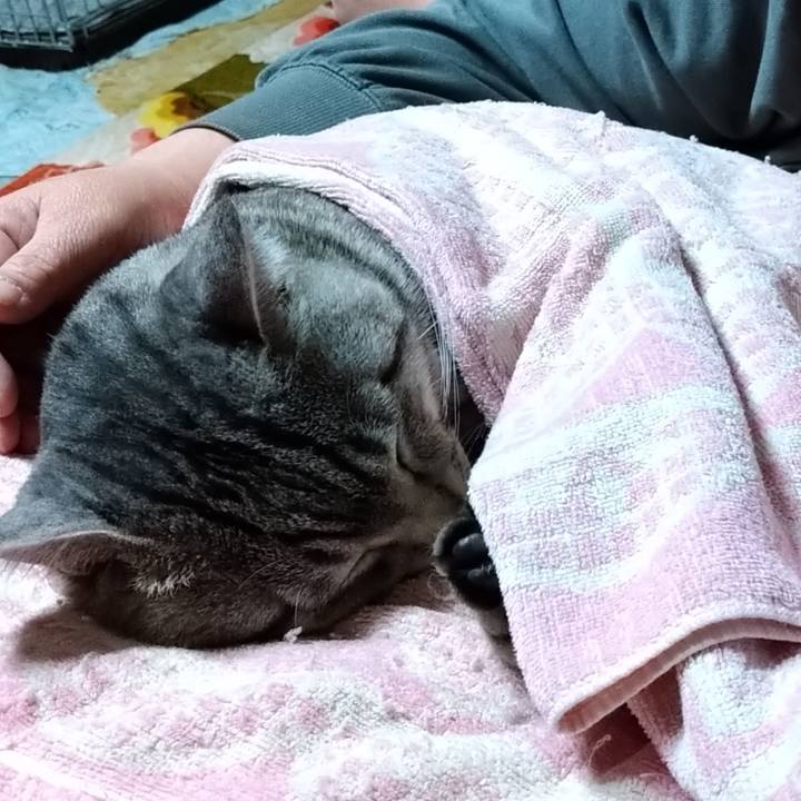 B5792389 feec 4369 ba7f 6c144935257a 1680962799452