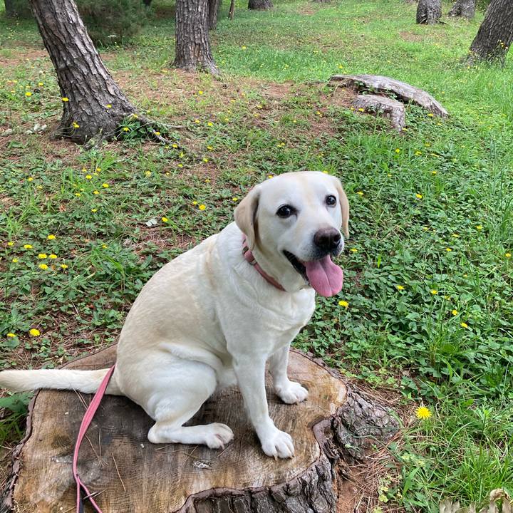 B5796e50 ce1d 4a7b a7e8 02e38f83d4dd 1750724604662