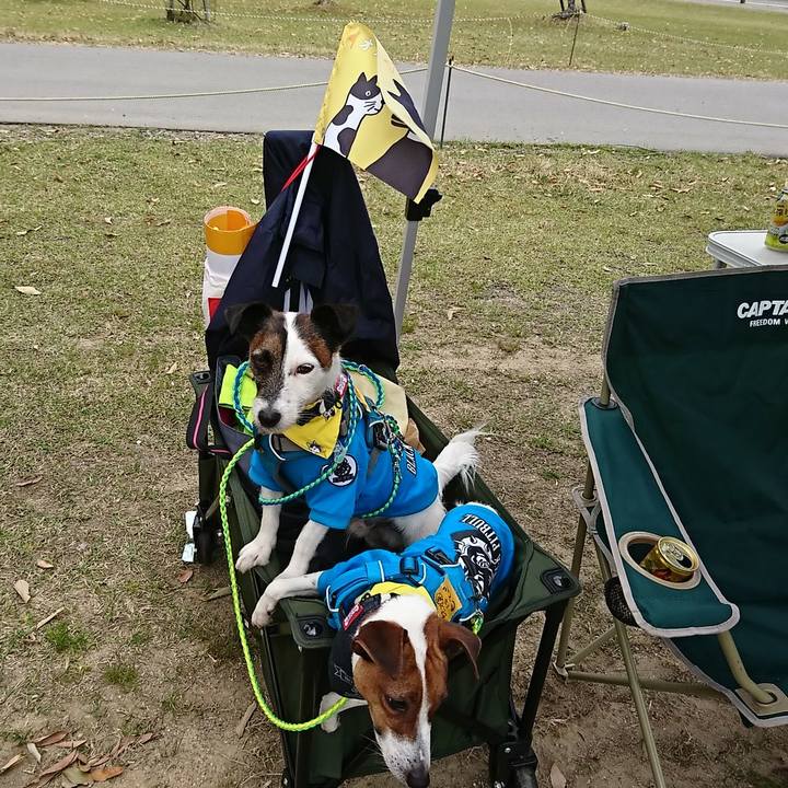 B5797d3f b56b 4990 a102 cda455521bfe 1555809760255