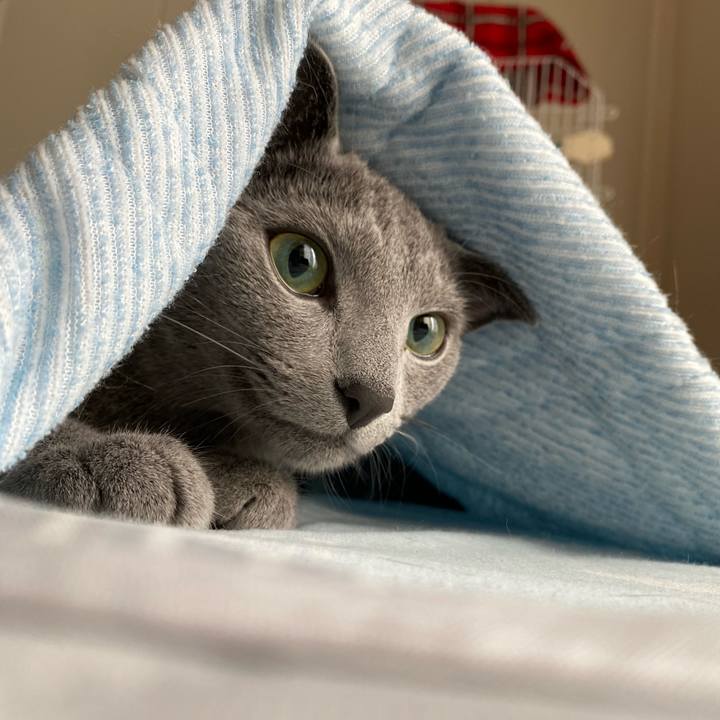 B579a40f 53df 43c5 9a92 0d35472dd75a 1624749524963