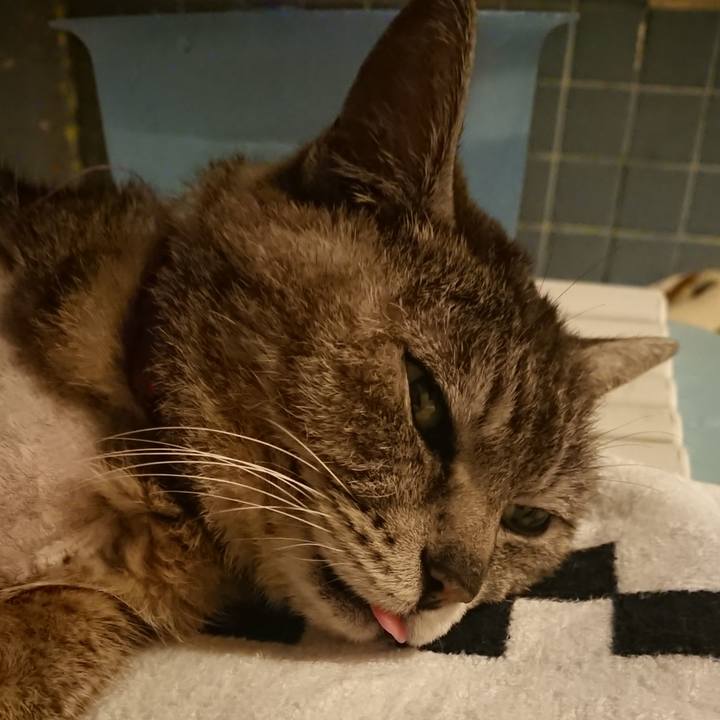 B579ac50 4e5f 4476 a47a 2f6962e68dbf 1589277633296