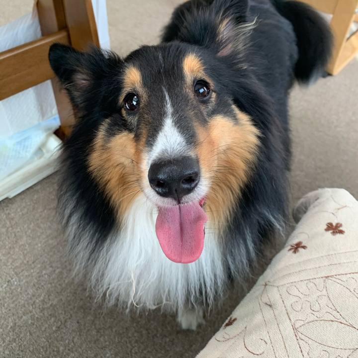 B579c556 e04a 423d 91d1 b4f8337ed832 1590444086700