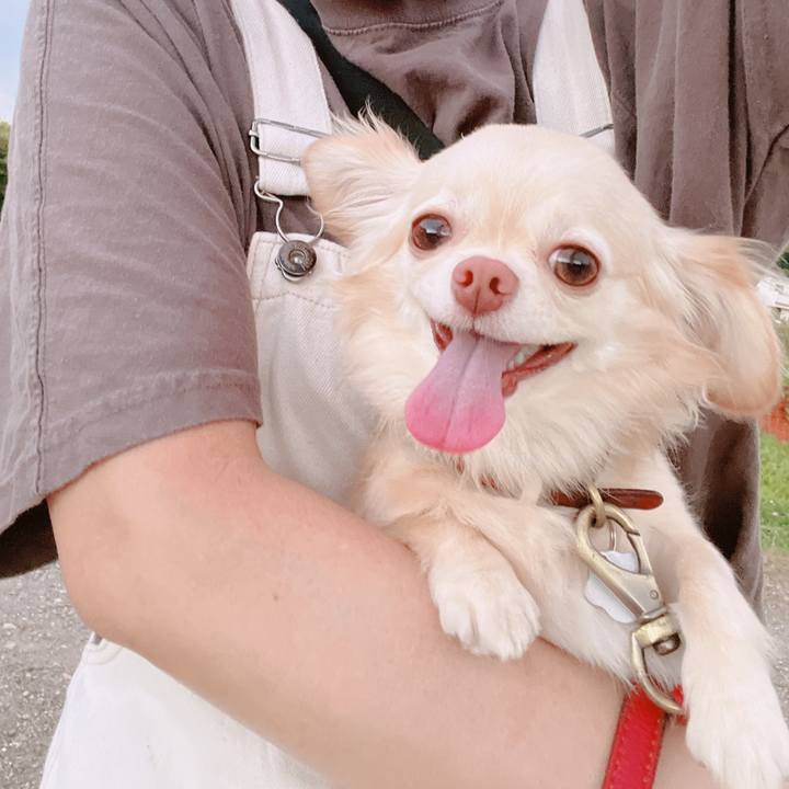 B579cca2 0b58 4f24 b9d0 f3afd204a12d 1659008073393