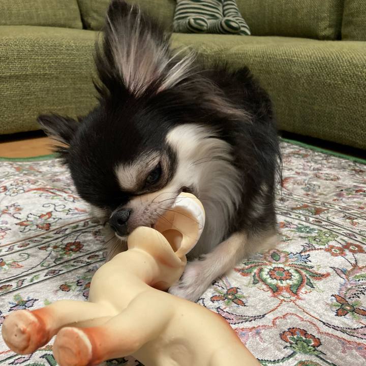 B579d093 425c 4a57 a450 b06eded47ca2 1664636884680