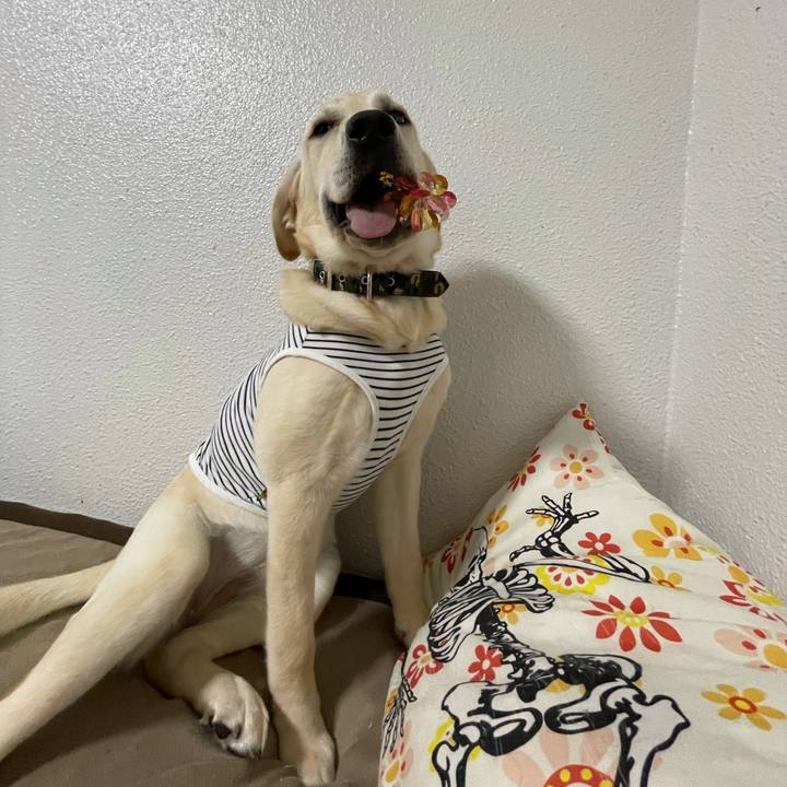 B579f582 c8ea 4f74 9b01 6c6646ee7a24 1621462482796