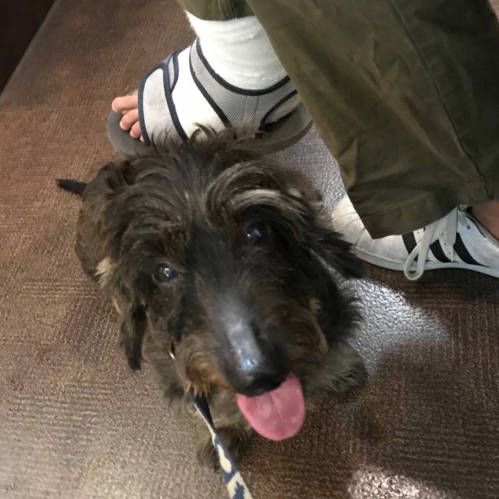 B57a0e95 ee6d 4cec bc52 51bedeeb15ad 1540468377046