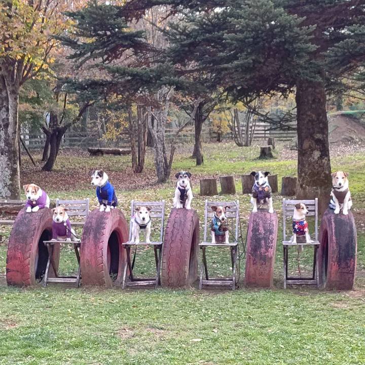 B57a215b 7288 4bb5 b11e 4eaf8b6a58c2 1699187481033