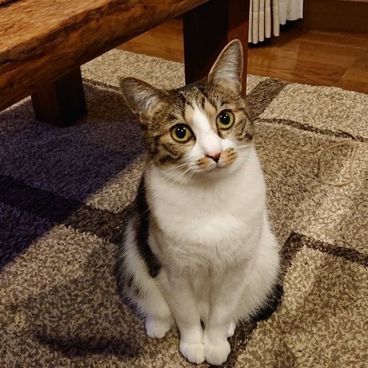 B57a2b13 2f1d 454c 8261 7f6e9b822b00 1585656125067