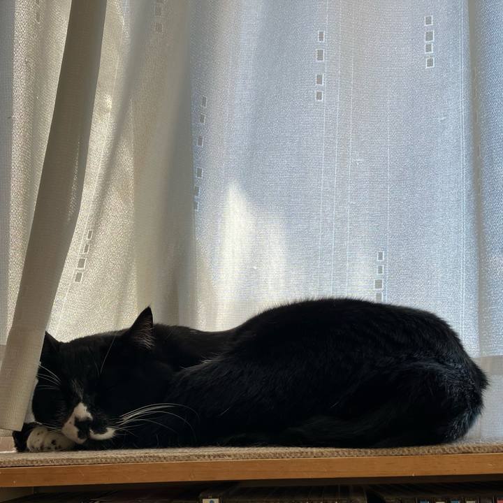 B57a50a1 fecd 4ab3 b20f 6fe891cd875d 1771486709388