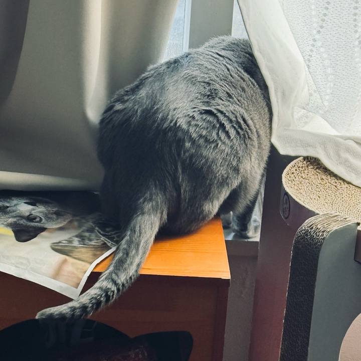 B57a6284 9ad2 4823 afd8 cd95bd61f034 1768624283693