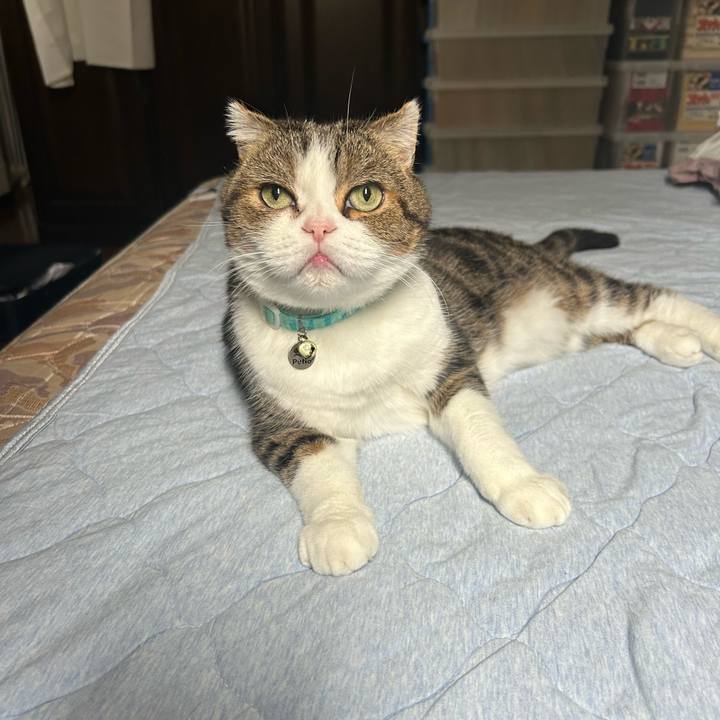 B57a69b9 6b63 4c23 b063 0ff7270807c9 1759041040622