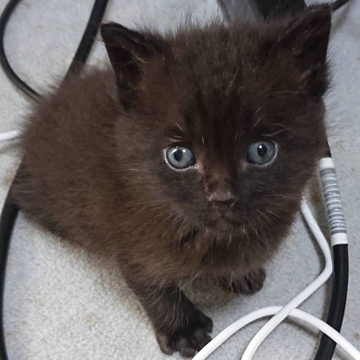 B57a6ab8 9bd5 4306 942a 2a27dcb9de28 1592533648042