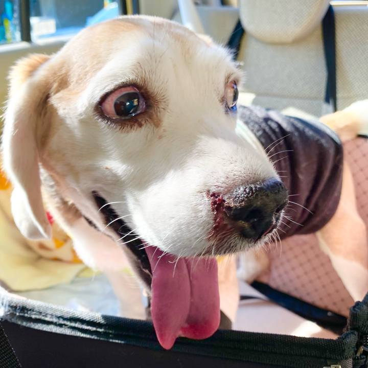 B57a7052 8a73 4a6b 8d61 d69766d68c50 1667912634318