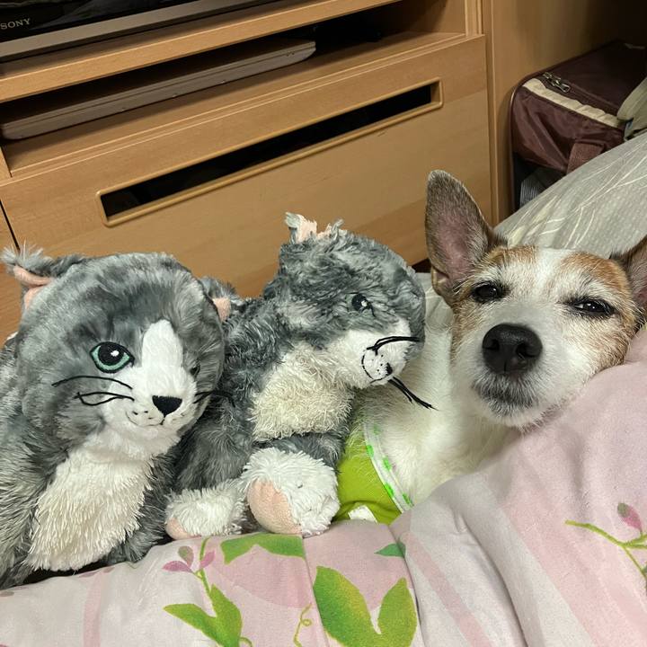 B57aa042 609f 43e8 b1bc 8e439a82d92d 1686094096379