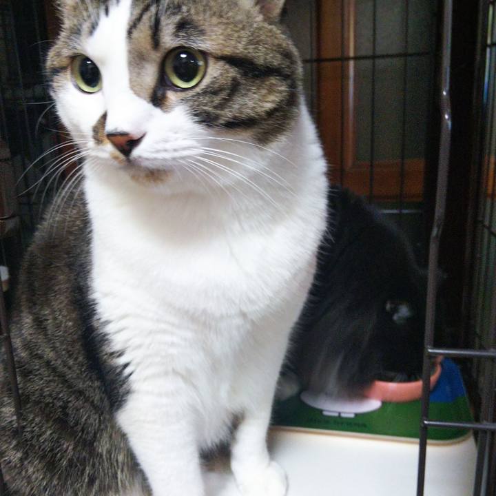 B57ab25a f386 4f8c 90dc 570db5bc13b3 1665143929559