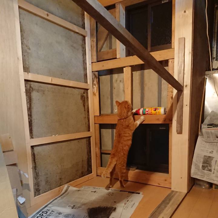 B57ab6fa 7927 4cb9 b09a 8af46bd9863b 1602753256185