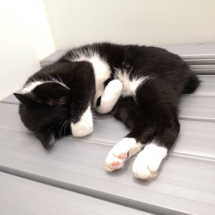 B57ab8df 9961 49cd 8cb2 bbb58815933e 1539002620620