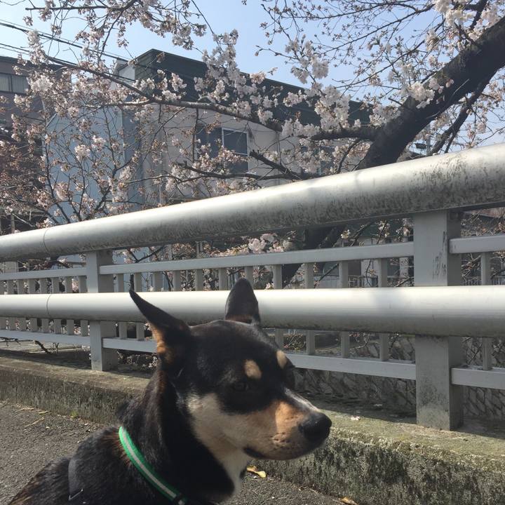 B57ad659 8489 47e2 bc34 356318a516f1 1522061768761