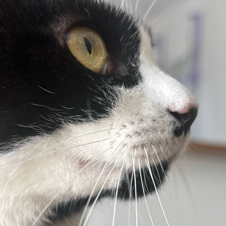 B57ae06a df4a 4cfa 81b5 3472ac62b611 1764378333803