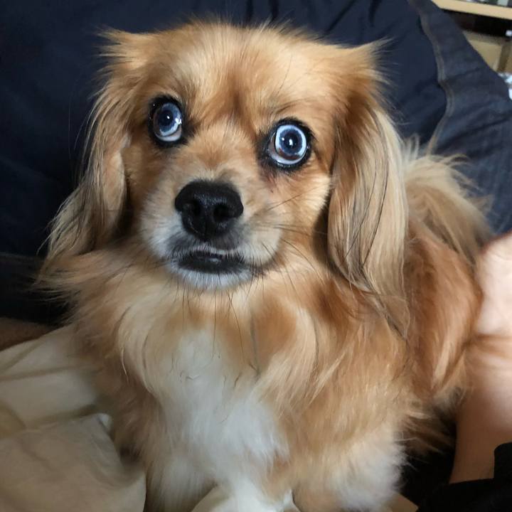 B57b030b 4461 4271 a321 5525285f8ba3 1561066161257