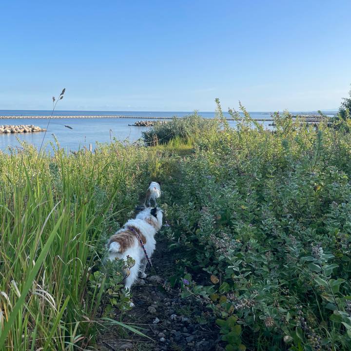 B57b1a1b f495 4716 919d 89fea22ecc31 1759017279573