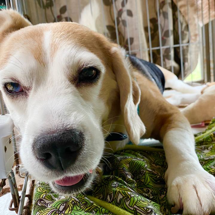 B57b2ad9 2bed 4e0f 9cf2 3fd353f9e2fd 1593142385901