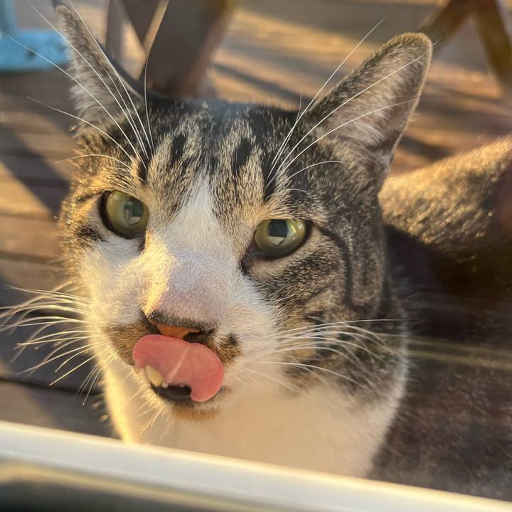 B57b2be1 e743 4f12 9529 245dc19261d3 1662583123869