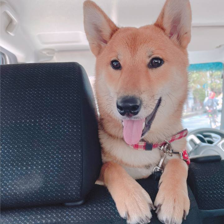 B57b3bf3 ea40 430d 824a 2f1fe2d03ef1 1667013014954