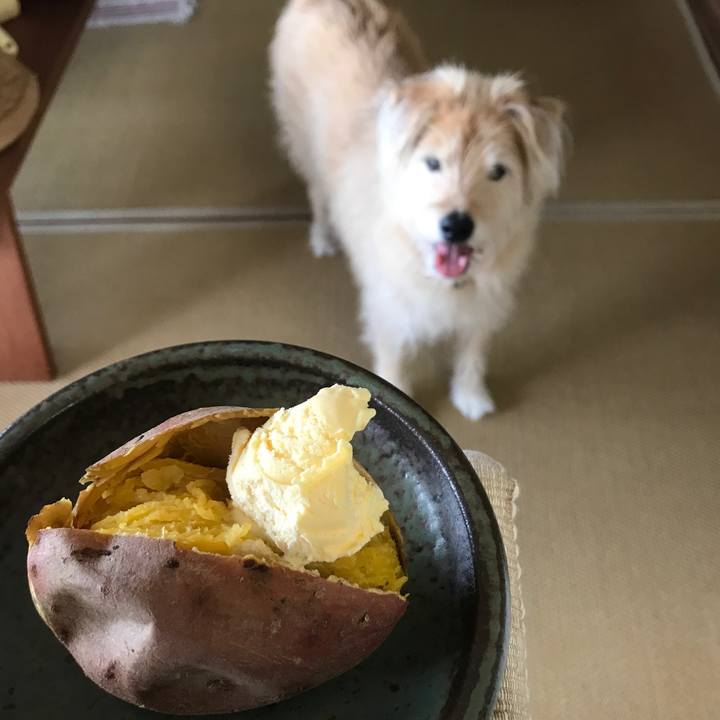 B57b814e a98d 49c9 a2da 283e5b4debc2 1589157450069