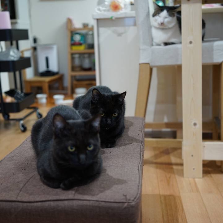 B57c114f a675 457e 8ddc 948f9cbface9 1511220293594