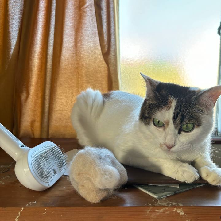 B57c5a3d 64b8 46a0 9b79 b7403b13e89c 1718701661146