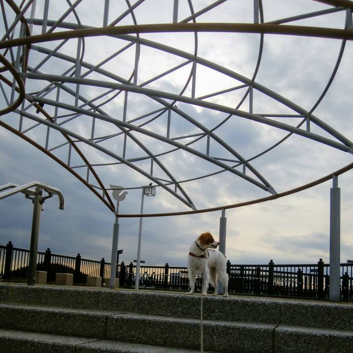 B57c7935 4299 49a0 b0c4 78a46f6a437d 1537865503929