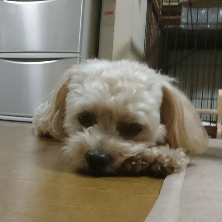 B57cacbe 57c4 4f13 afb4 126106486feb 1533446501111