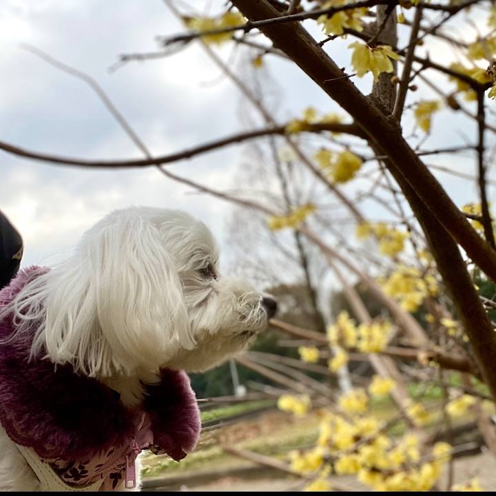 B57cb23b bd6a 44ee 930d 68a3d334f19e 1645067040012