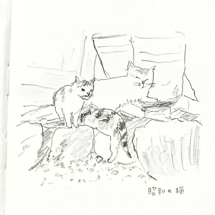 B57cb2ad a1e1 4fa3 84c9 b5526c9a5104 1617671477194