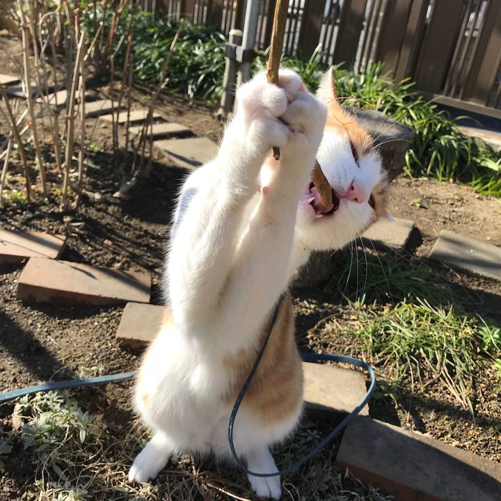 B57cdfa8 b18a 4437 8197 d701f32f5e7b 1512612455661