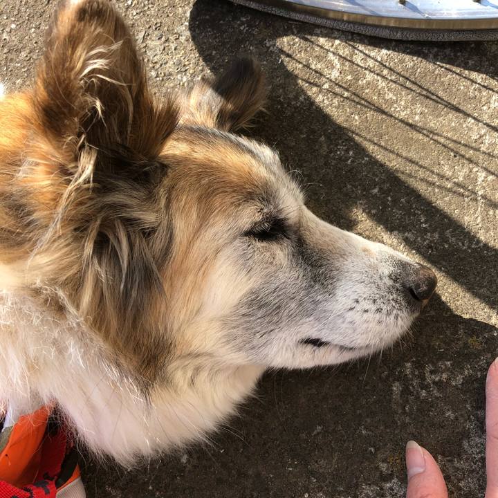 B57ce793 210c 49ec bd2d 9600d8347f4f 1548723457517