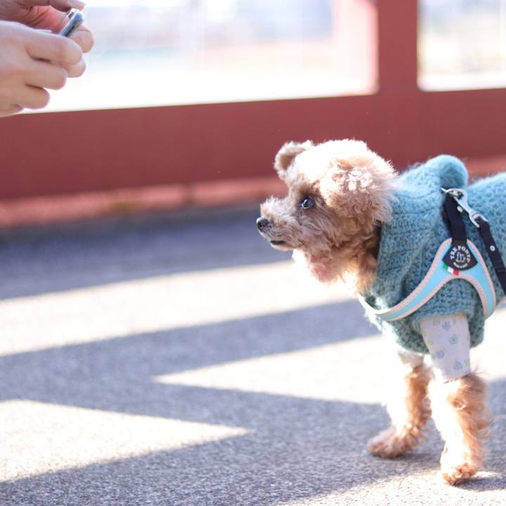 B57cfe3e 0719 4cc3 a3d6 ff22f59292d2 1667728919823