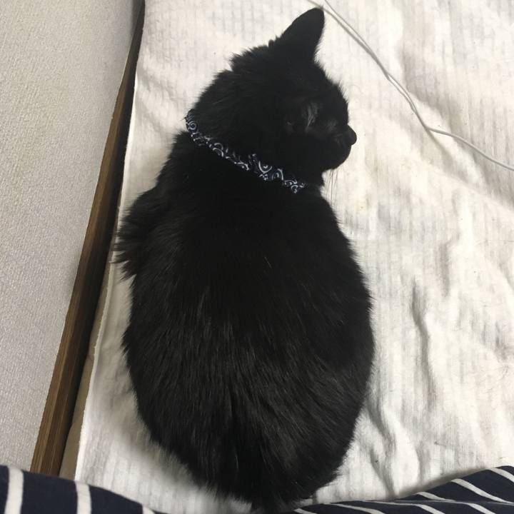 B57d08de 8cac 4ace 8ada c6127bd4bb4e 1553081632282