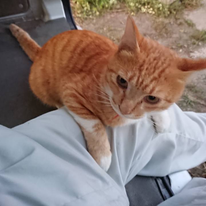 B57d3e12 dc68 49c1 8357 8bea9bacdd31 1569315767831