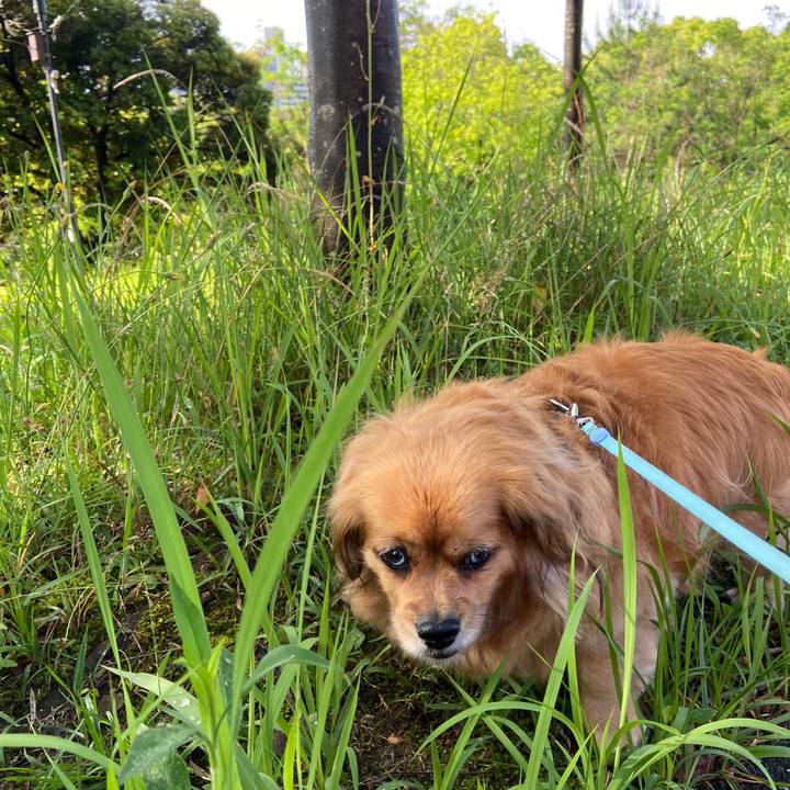 B57d445c 6358 4df6 a9ba b08b74d53255 1653609930961