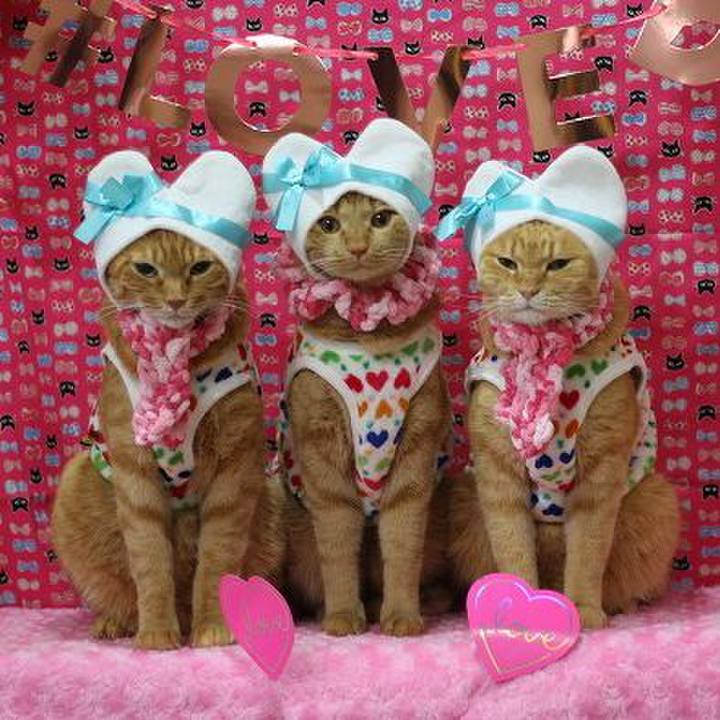 B57d7205 9d50 4837 93a8 68c0aa8f29fb 1581647370675