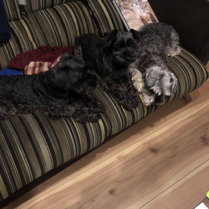 B57db9f5 4cbc 476d bdd6 d613e4e7b840 1520507621676