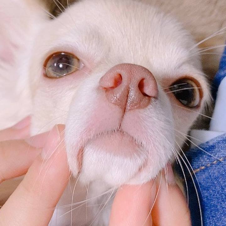 B57df6a3 ddcc 4318 961c 4bb092827aa6 1599908318313