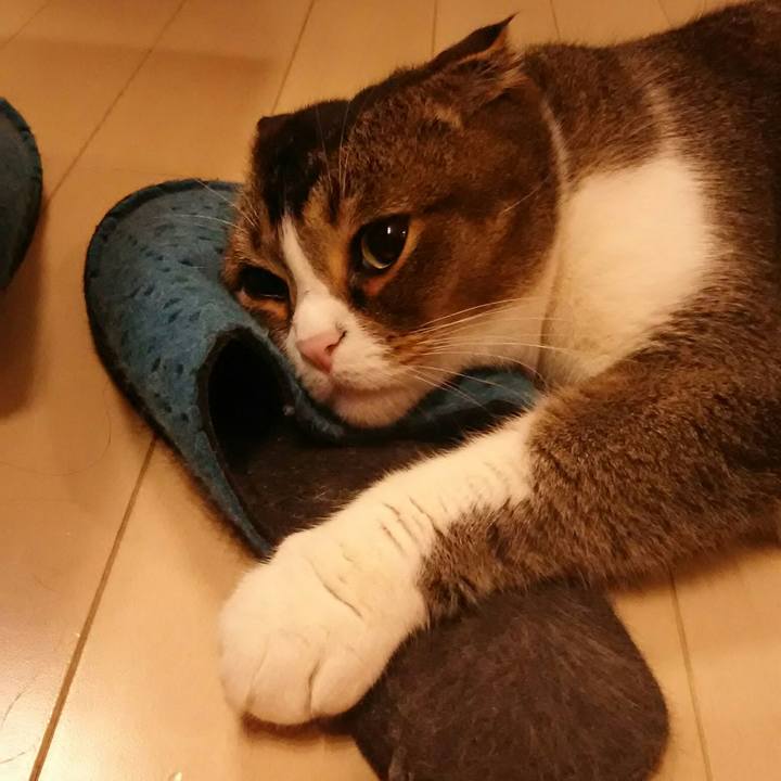 B57e0546 d3d6 4fdb a726 da7c7d7e7bab 1522326187893